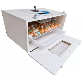 Chocadeira Luna 860 Ovos Chocmaster – Digital Industrial com